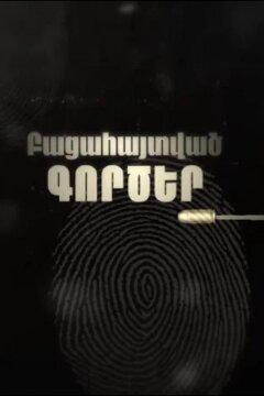 Раскрытые дела (2025)