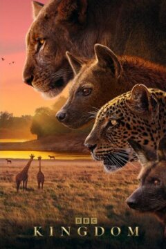 Царство животных (2025)