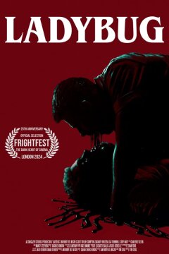 Божья коровка (2024)