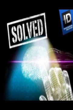 Раскрытые преступления (2008)