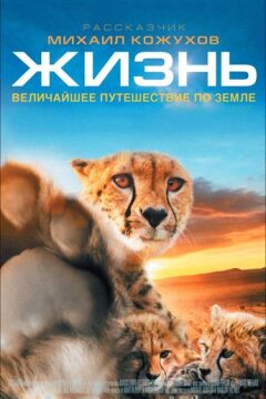 Жизнь (2011)